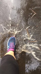 14483934_10207264094825618_1115394386_n