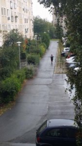 14518777_10207264095145626_240611819_n